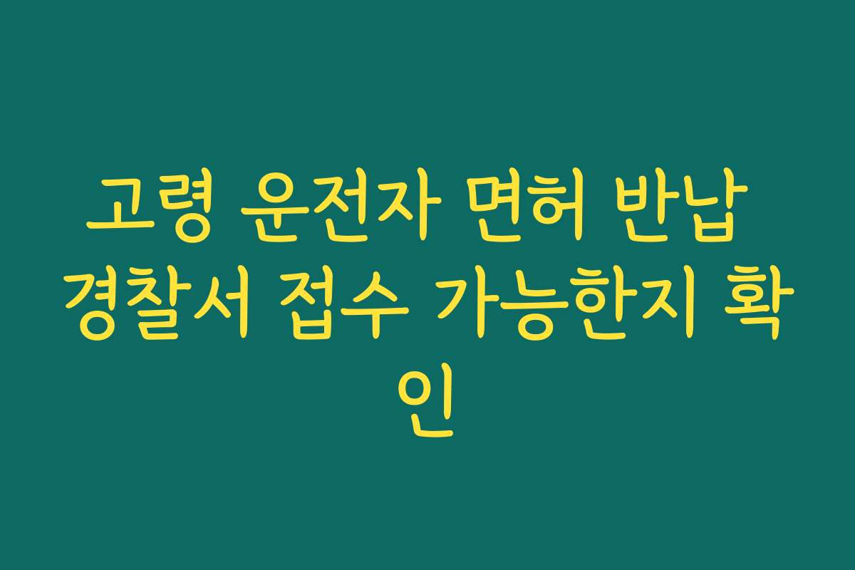 고령 운전자 면허 반납 경찰서 접수 가능한지 확인