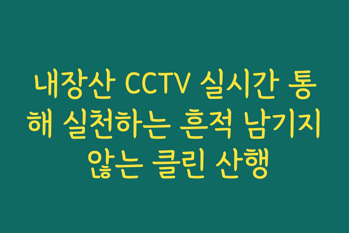내장산 CCTV 실시간 통해 실천하는 흔적 남기지 않는 클린 산행