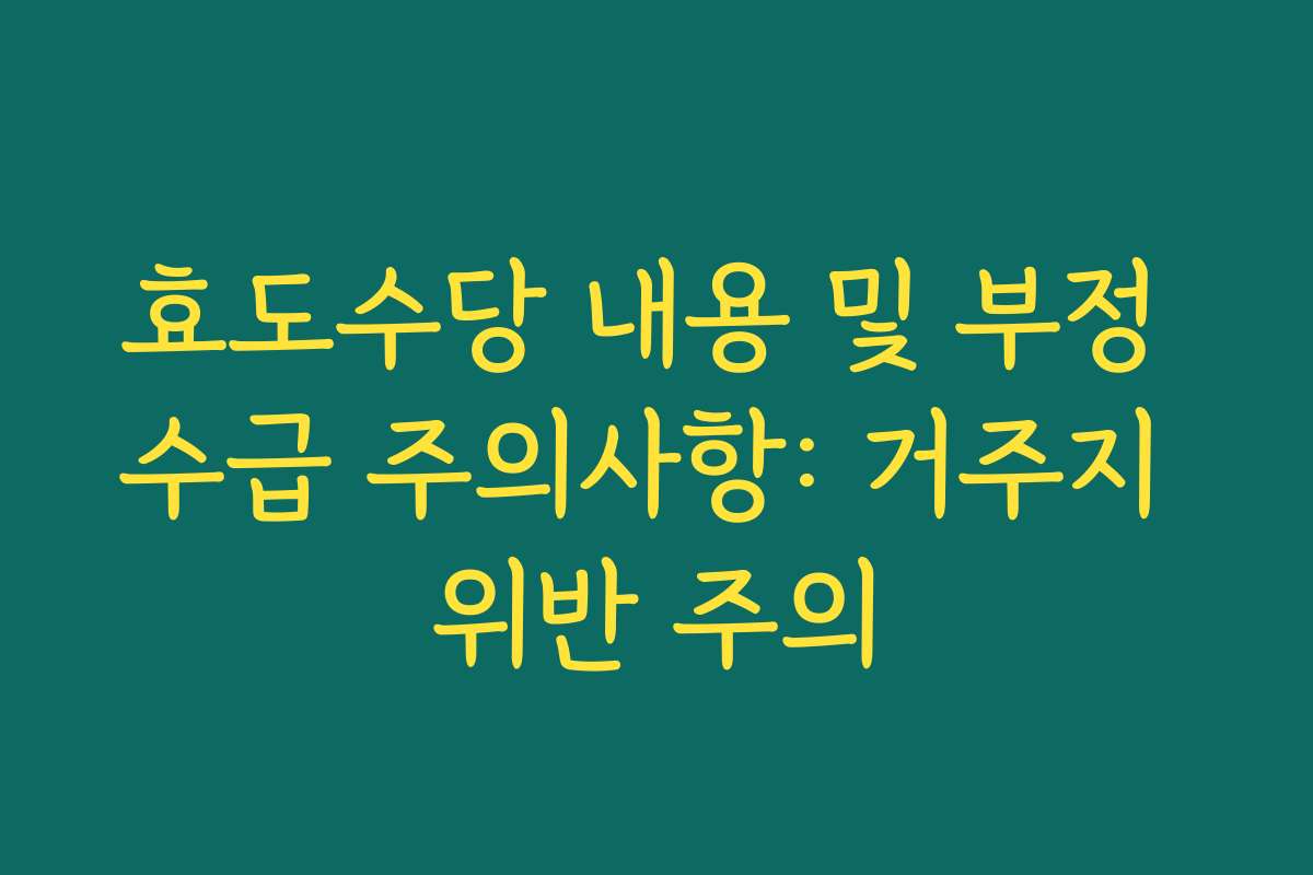 효도수당 내용 및 부정 수급 주의사항: 거주지 위반 주의