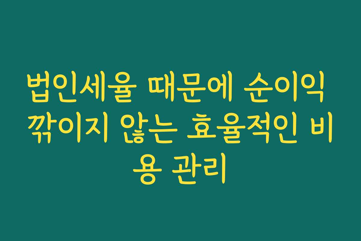 법인세율 때문에 순이익 깎이지 않는 효율적인 비용 관리
