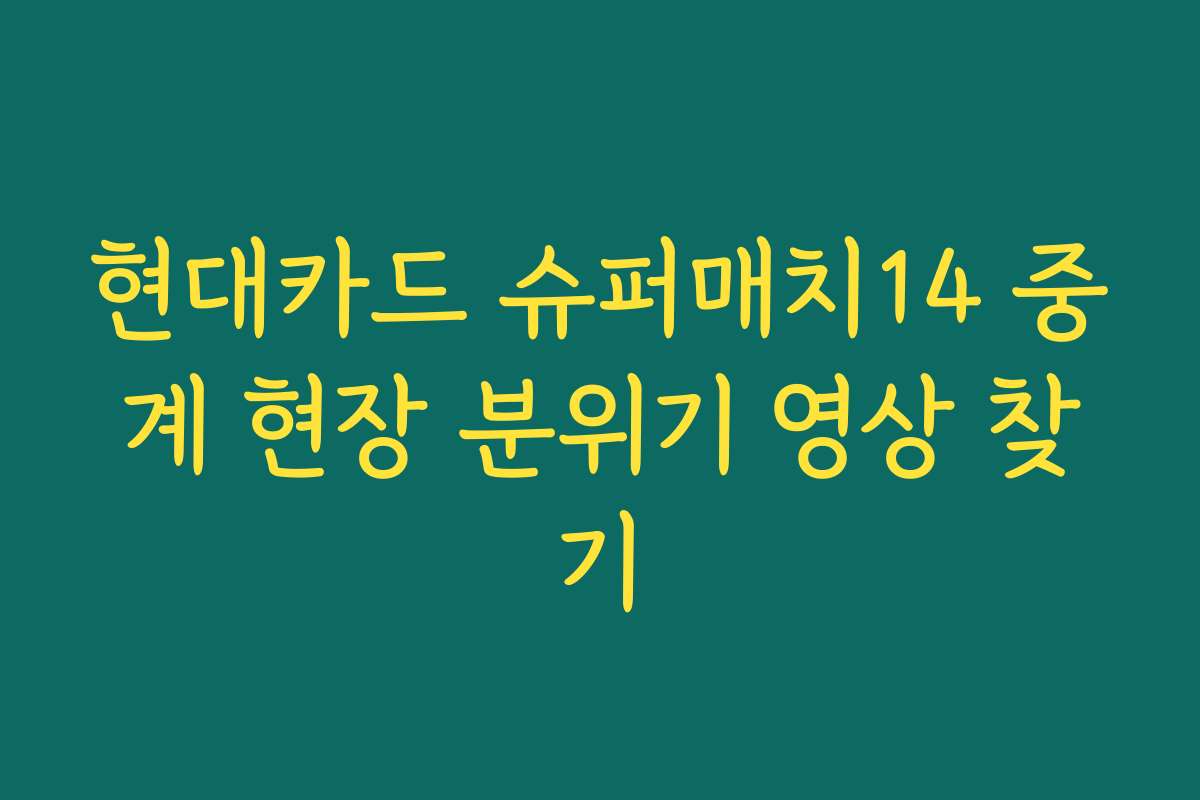 현대카드 슈퍼매치14 중계 현장 분위기 영상 찾기