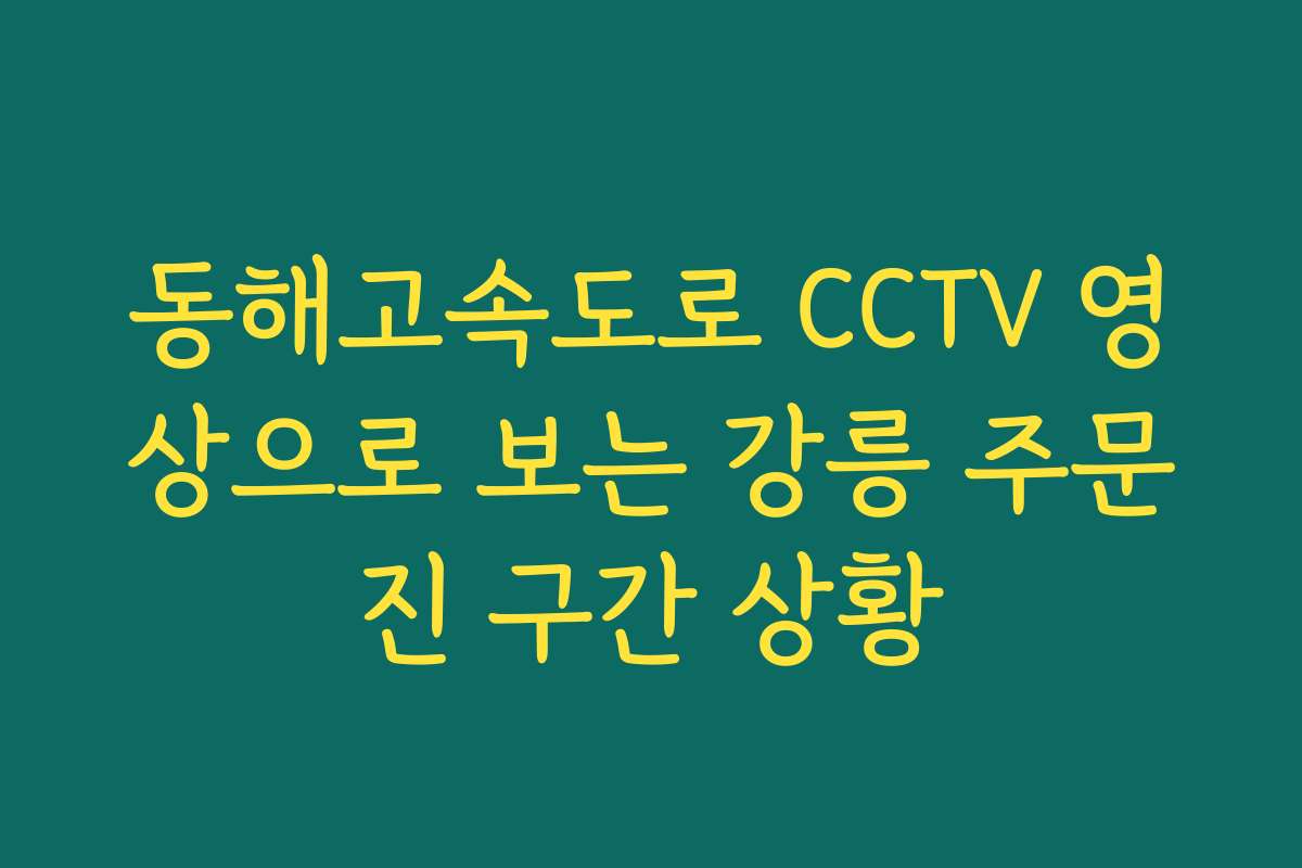동해고속도로 CCTV 영상으로 보는 강릉 주문진 구간 상황