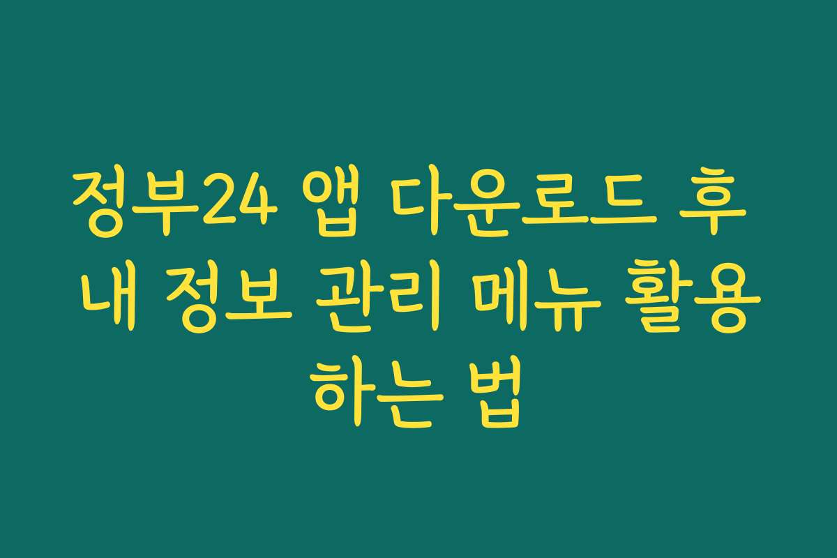 정부24 앱 다운로드 후 내 정보 관리 메뉴 활용하는 법