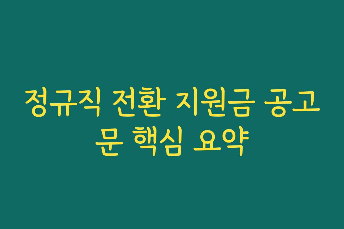 정규직 전환 지원금 공고문 핵심 요약