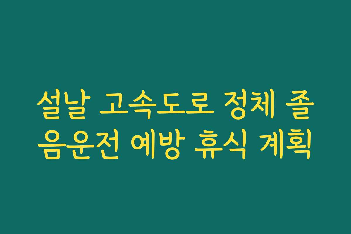설날 고속도로 정체 졸음운전 예방 휴식 계획