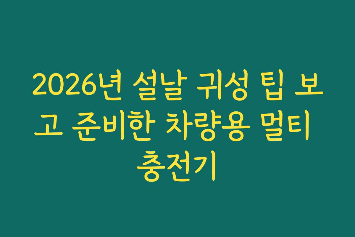 2026년 설날 귀성 팁 보고 준비한 차량용 멀티 충전기