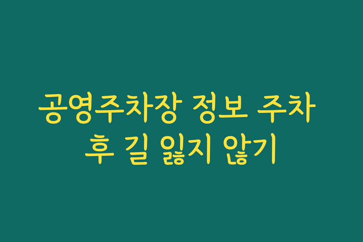 공영주차장 정보 주차 후 길 잃지 않기