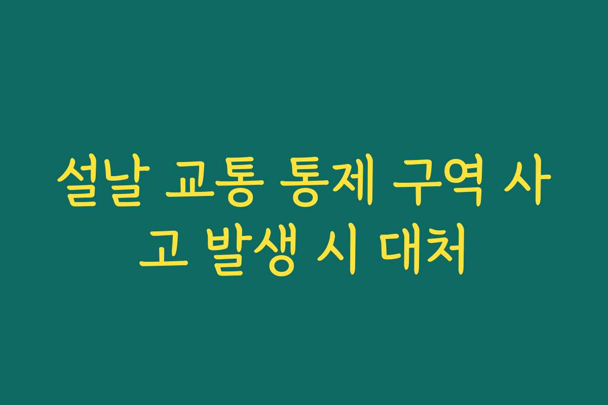 설날 교통 통제 구역 사고 발생 시 대처