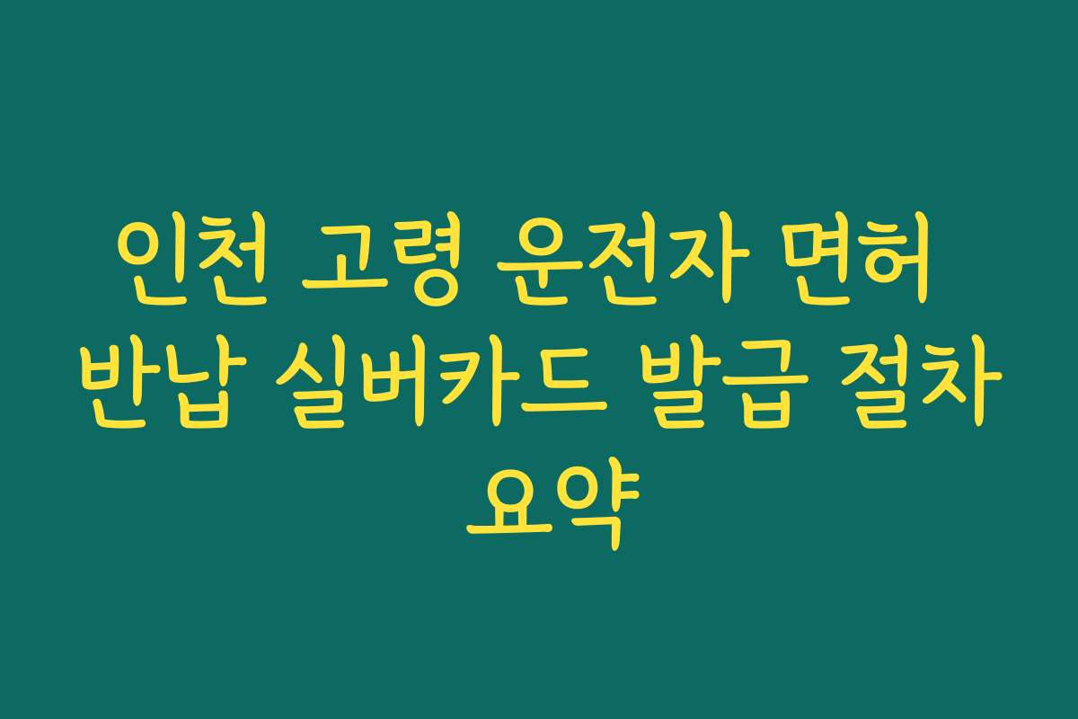 인천 고령 운전자 면허 반납 실버카드 발급 절차 요약