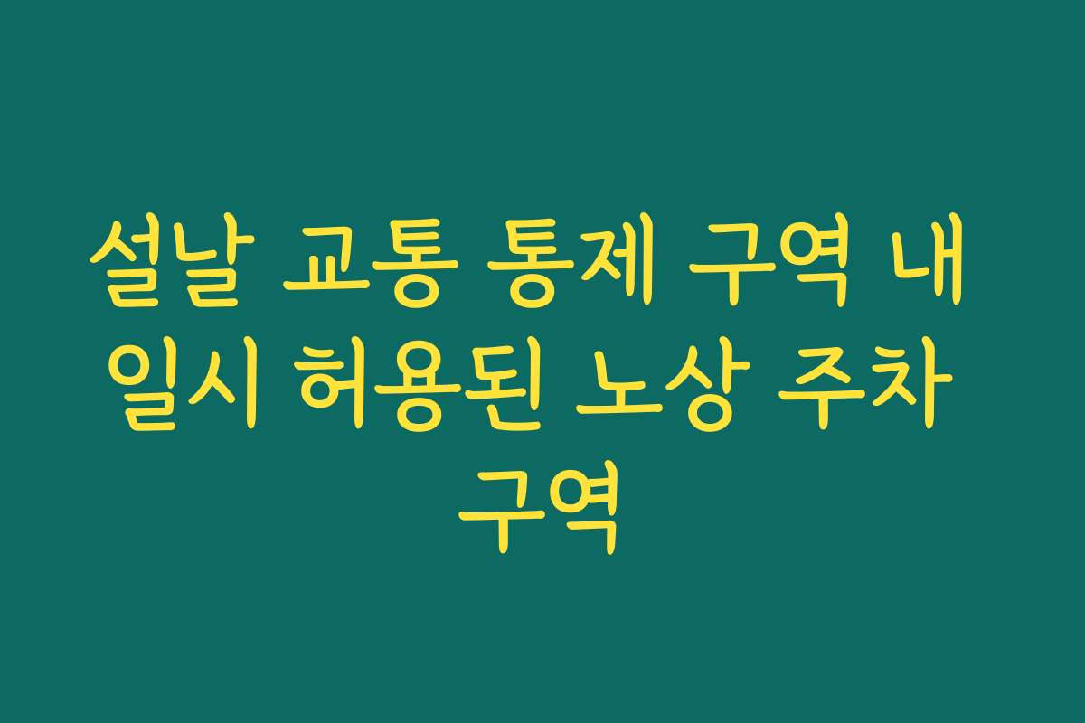 설날 교통 통제 구역 내 일시 허용된 노상 주차 구역