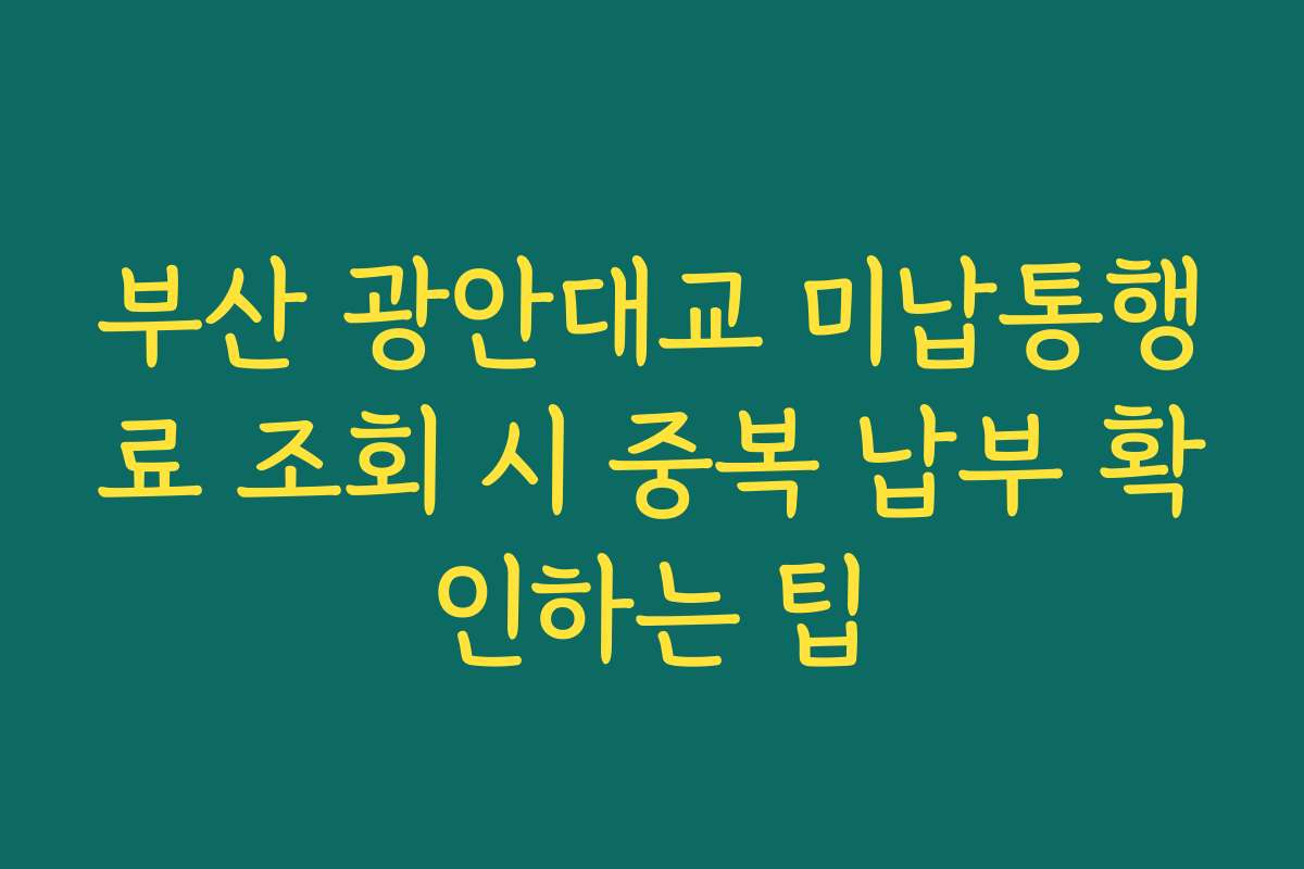부산 광안대교 미납통행료 조회 시 중복 납부 확인하는 팁