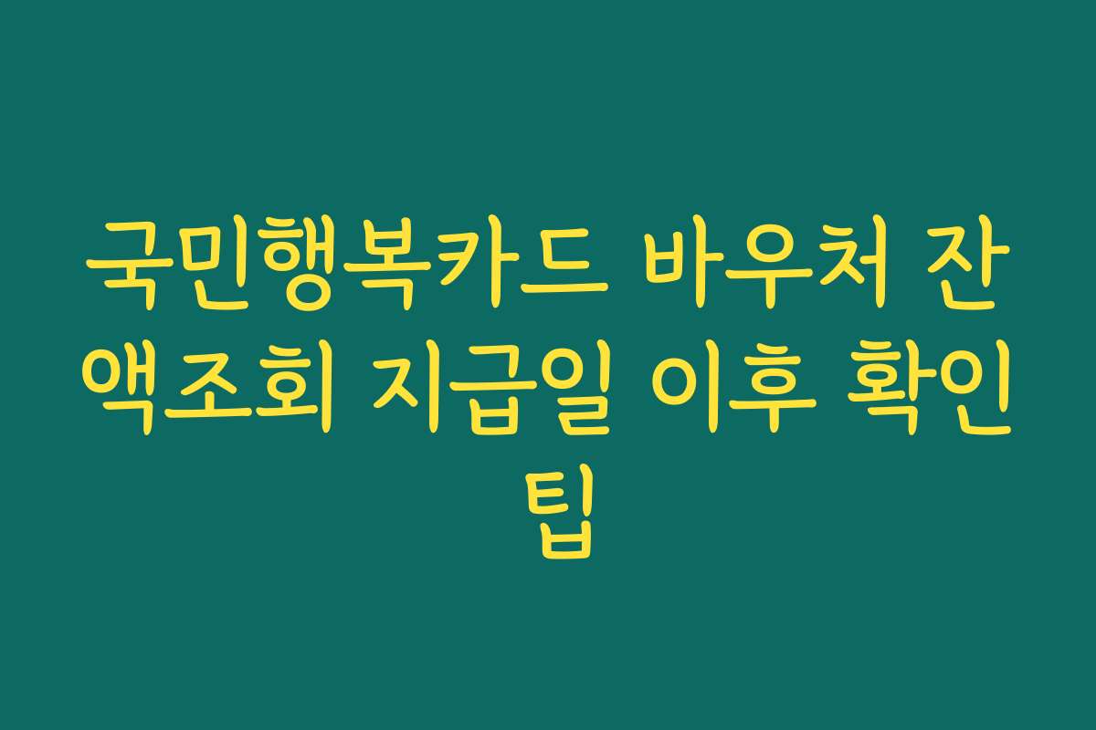 국민행복카드 바우처 잔액조회 지급일 이후 확인 팁