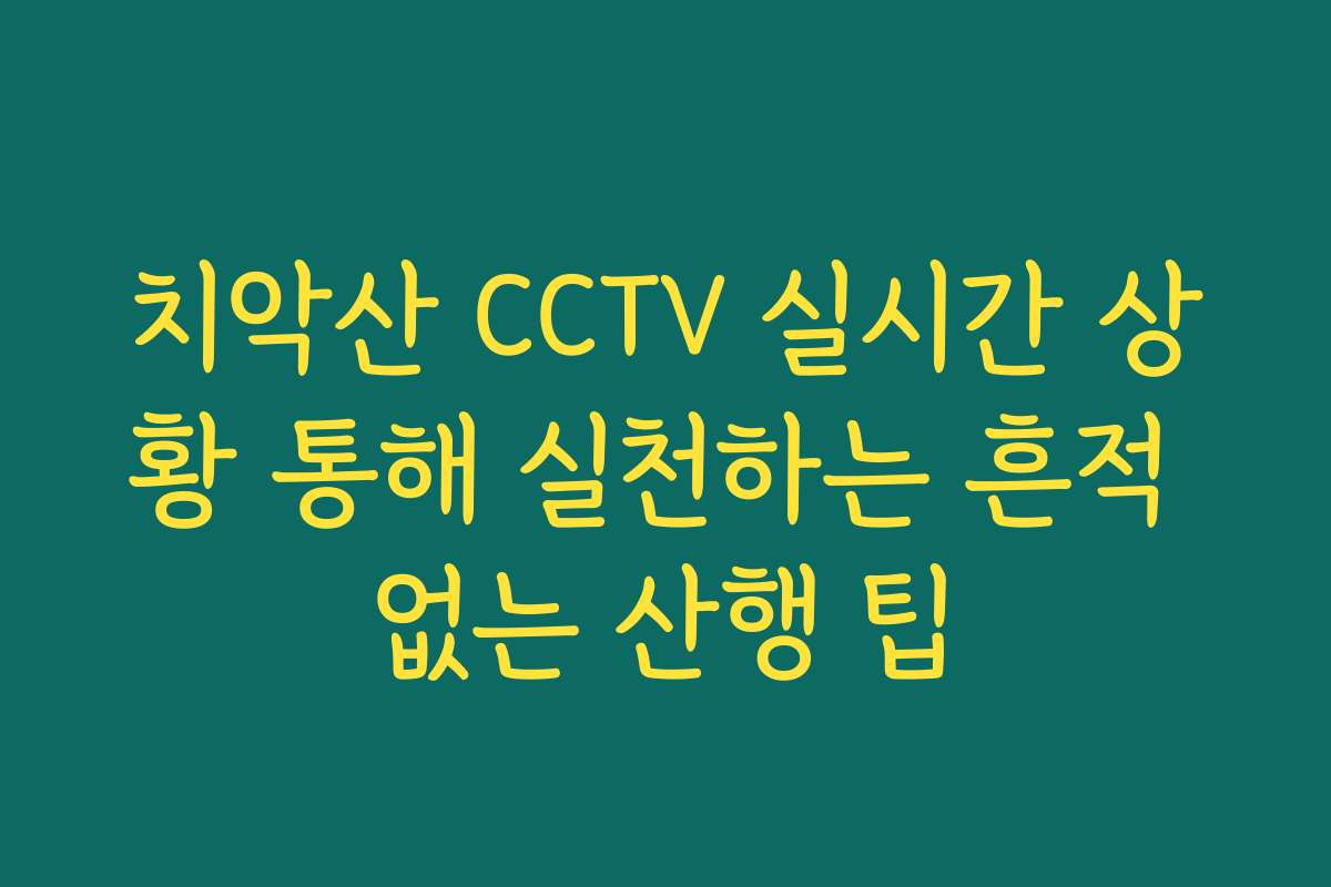 치악산 CCTV 실시간 상황 통해 실천하는 흔적 없는 산행 팁