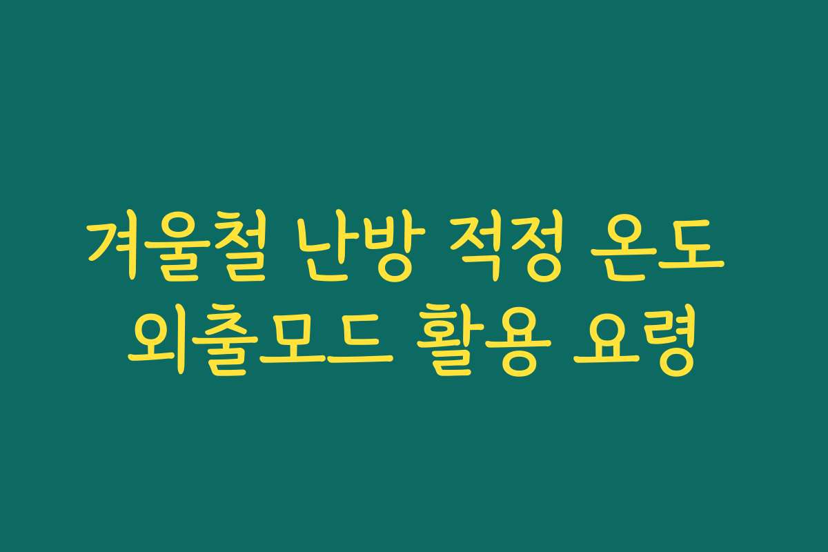 겨울철 난방 적정 온도 외출모드 활용 요령 겨울철 난방 적정 온도 외출모드 활용 요령