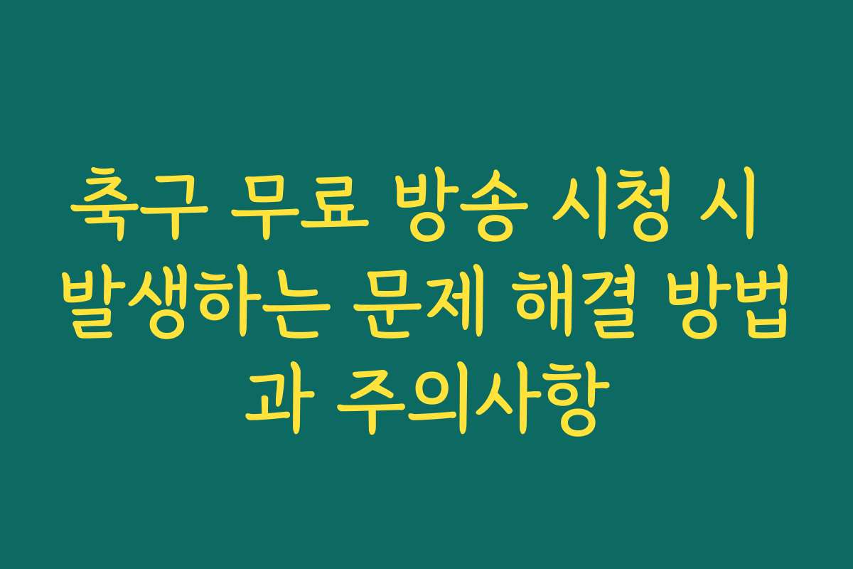 축구 무료 방송 시청 시 발생하는 문제 해결 방법과 주의사항