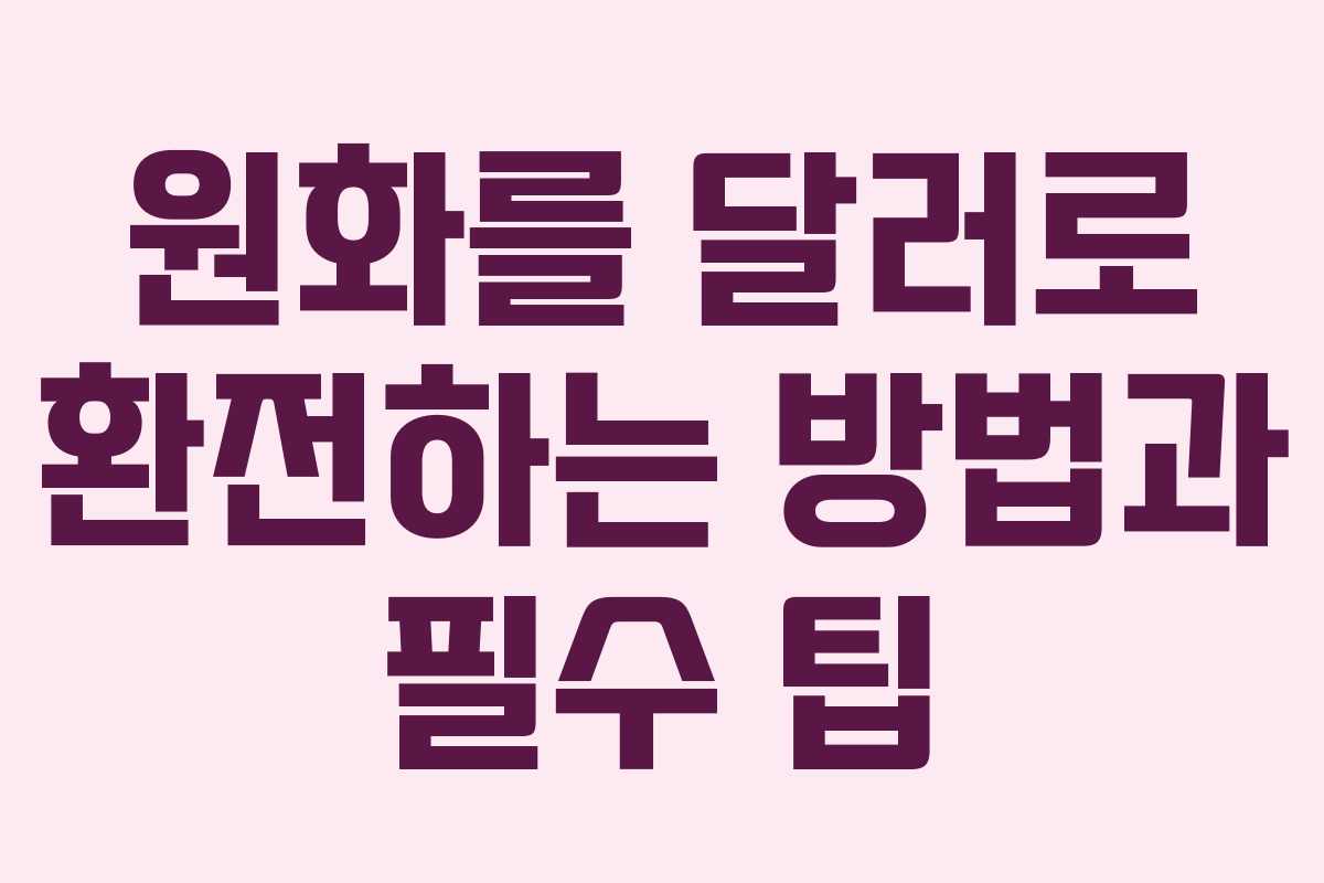 원화를 달러로 환전하는 방법과 필수 팁