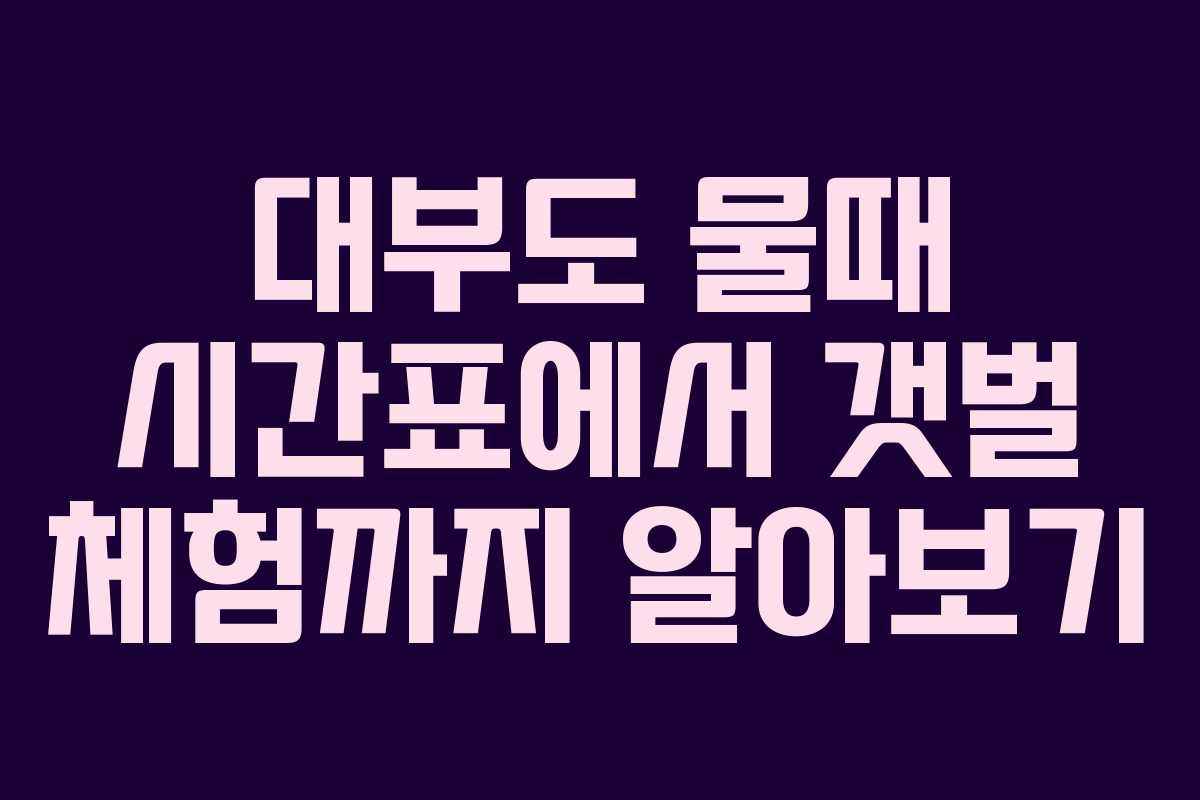 대부도 물때 시간표에서 갯벌 체험까지 알아보기 대부도 물때 시간표에서 갯벌 체험까지 알아보기