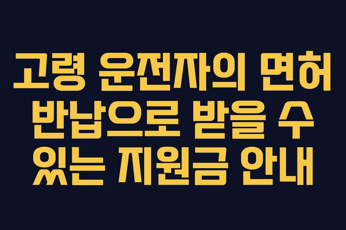 고령 운전자의 면허 반납으로 받을 수 있는 지원금 안내