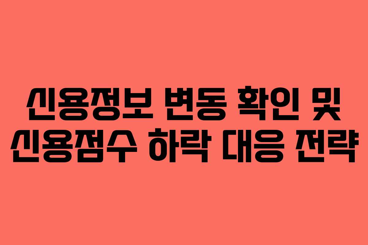 신용정보 변동 확인 및 신용점수 하락 대응 전략 신용정보 변동 확인 및 신용점수 하락 대응 전략