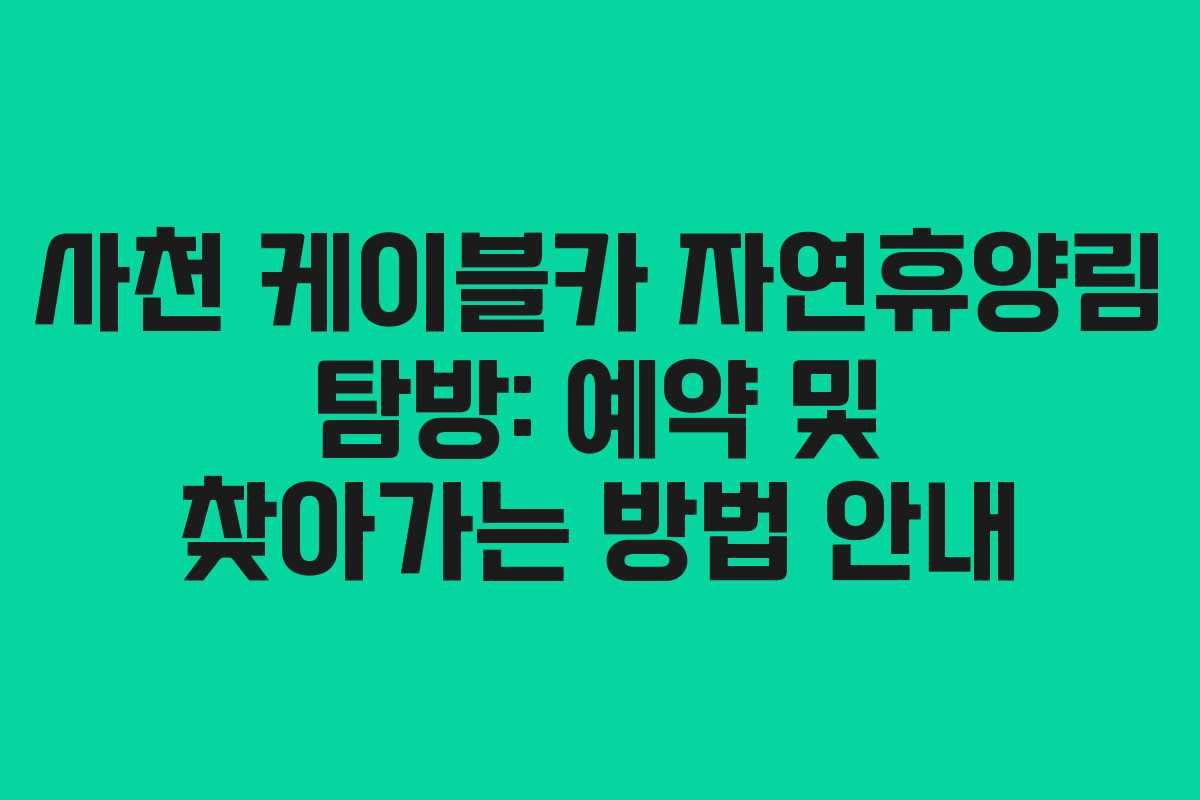 사천 케이블카 자연휴양림 탐방: 예약 및 찾아가는 방법 안내