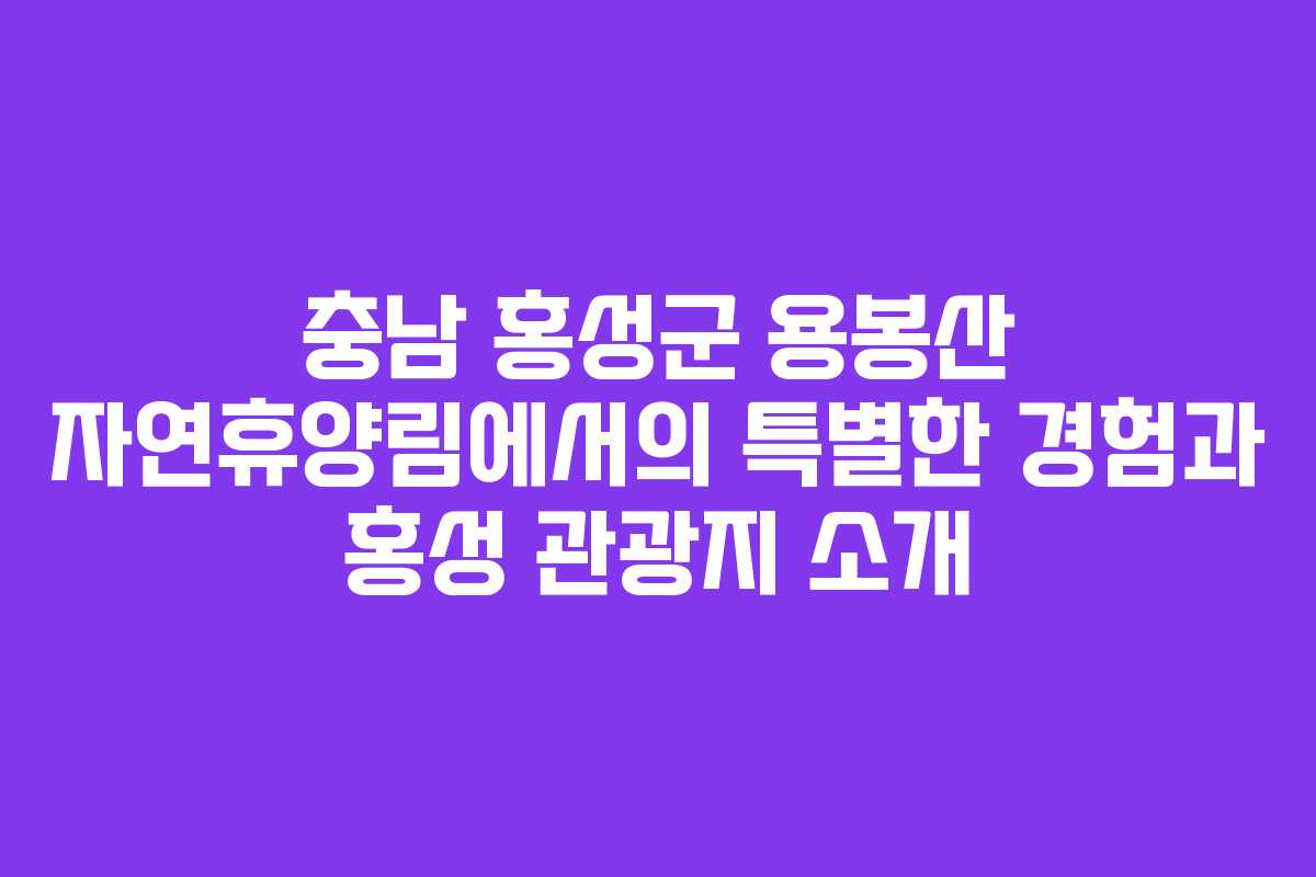 충남 홍성군 용봉산 자연휴양림에서의 특별한 경험과 홍성 관광지 소개 충남 홍성군 용봉산 자연휴양림에서의 특별한 경험과 홍성 관광지 소개