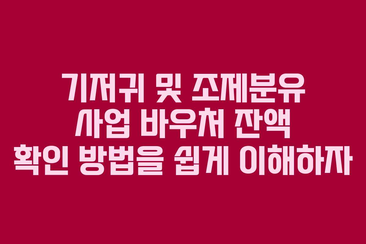 기저귀 및 조제분유 사업 바우처 잔액 확인 방법을 쉽게 이해하자