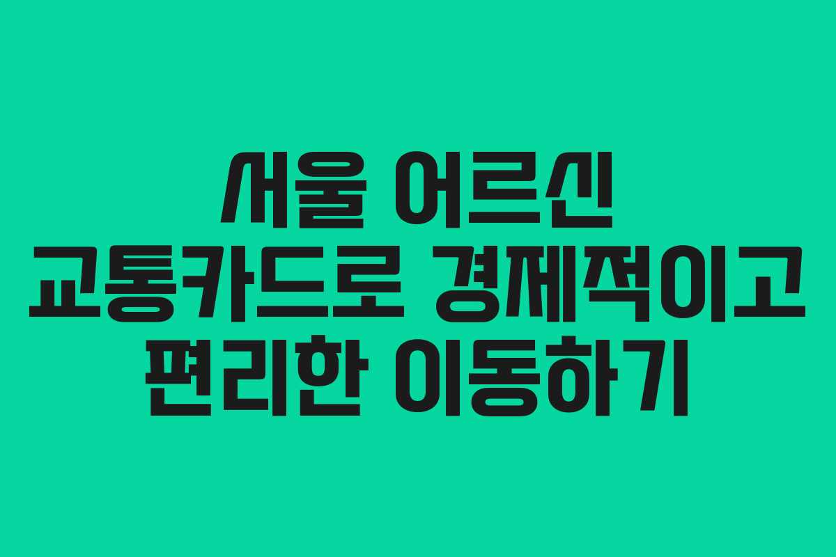 서울 어르신 교통카드로 경제적이고 편리한 이동하기