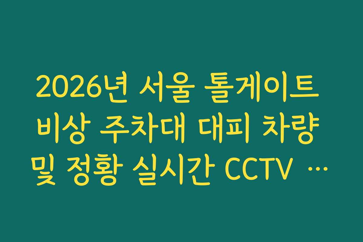 2026년 서울 톨게이트 비상 주차대 대피 차량 및 정황 실시간 CCTV 확인 2026년 서울 톨게이트 비상 주차대 대피 차량 및 정황 실시간 CCTV 확인