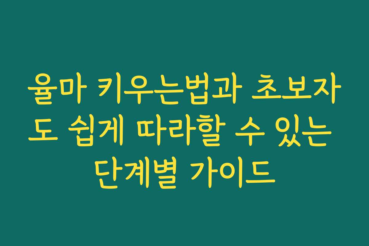 율마 키우는법과 초보자도 쉽게 따라할 수 있는 단계별 가이드
