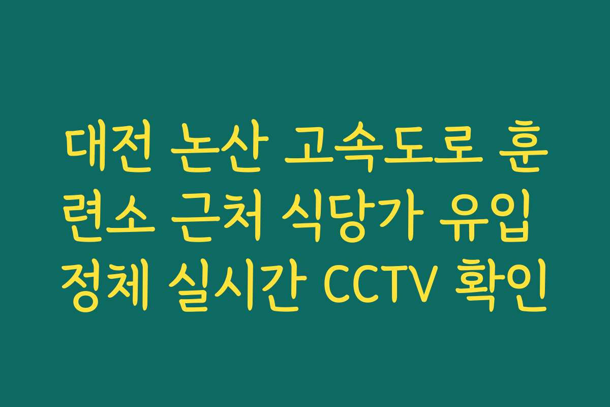 대전 논산 고속도로 훈련소 근처 식당가 유입 정체 실시간 CCTV 확인