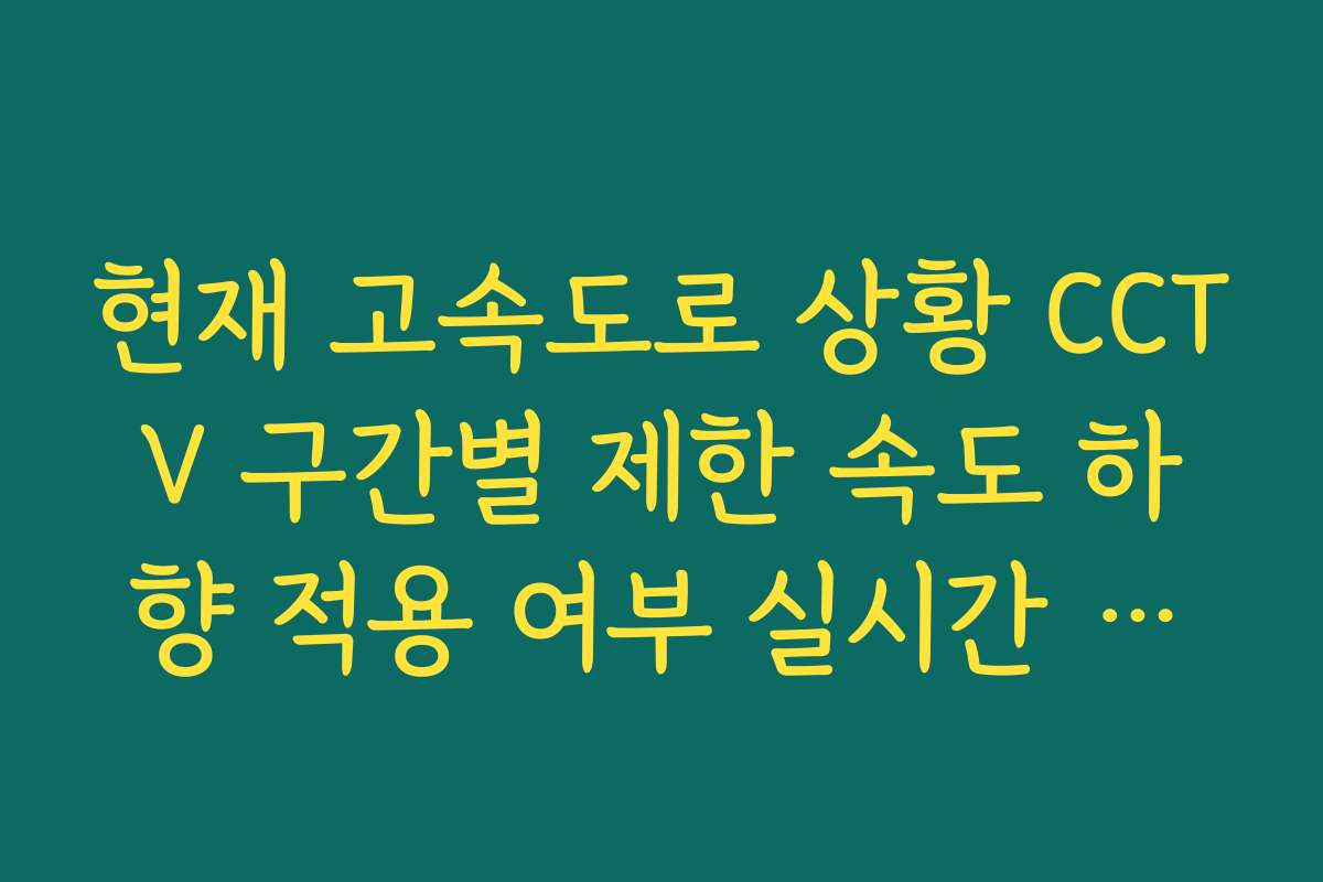 현재 고속도로 상황 CCTV 구간별 제한 속도 하향 적용 여부 실시간 확인 현재 고속도로 상황 CCTV 구간별 제한 속도 하향 적용 여부 실시간 확인