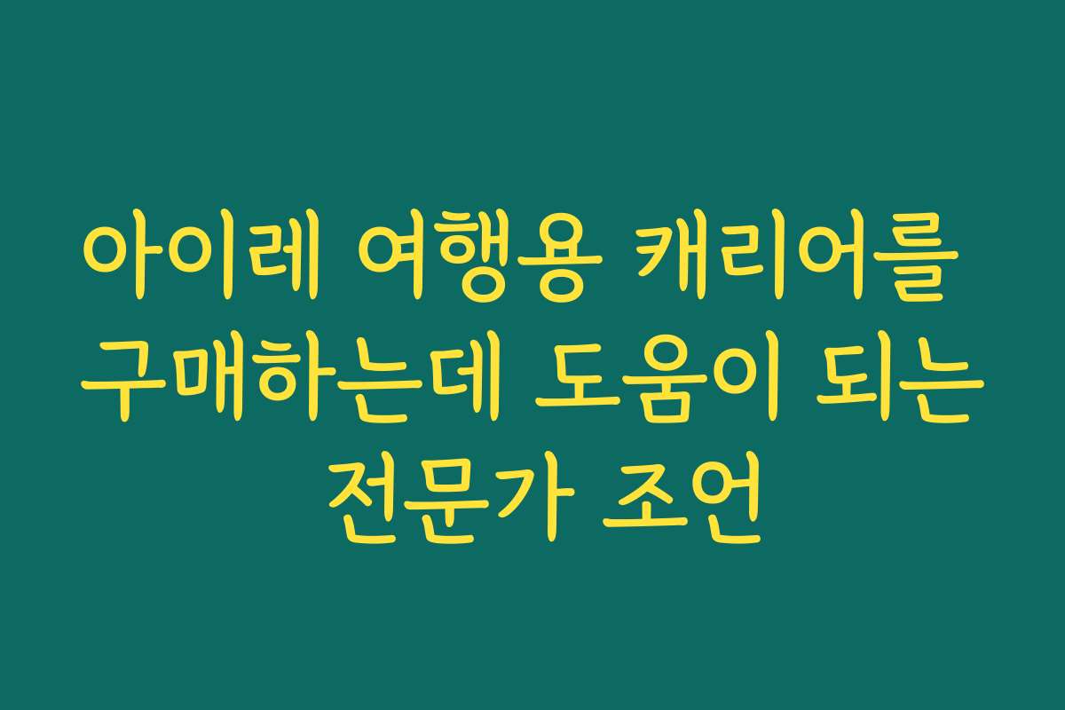 아이레 여행용 캐리어를 구매하는데 도움이 되는 전문가 조언