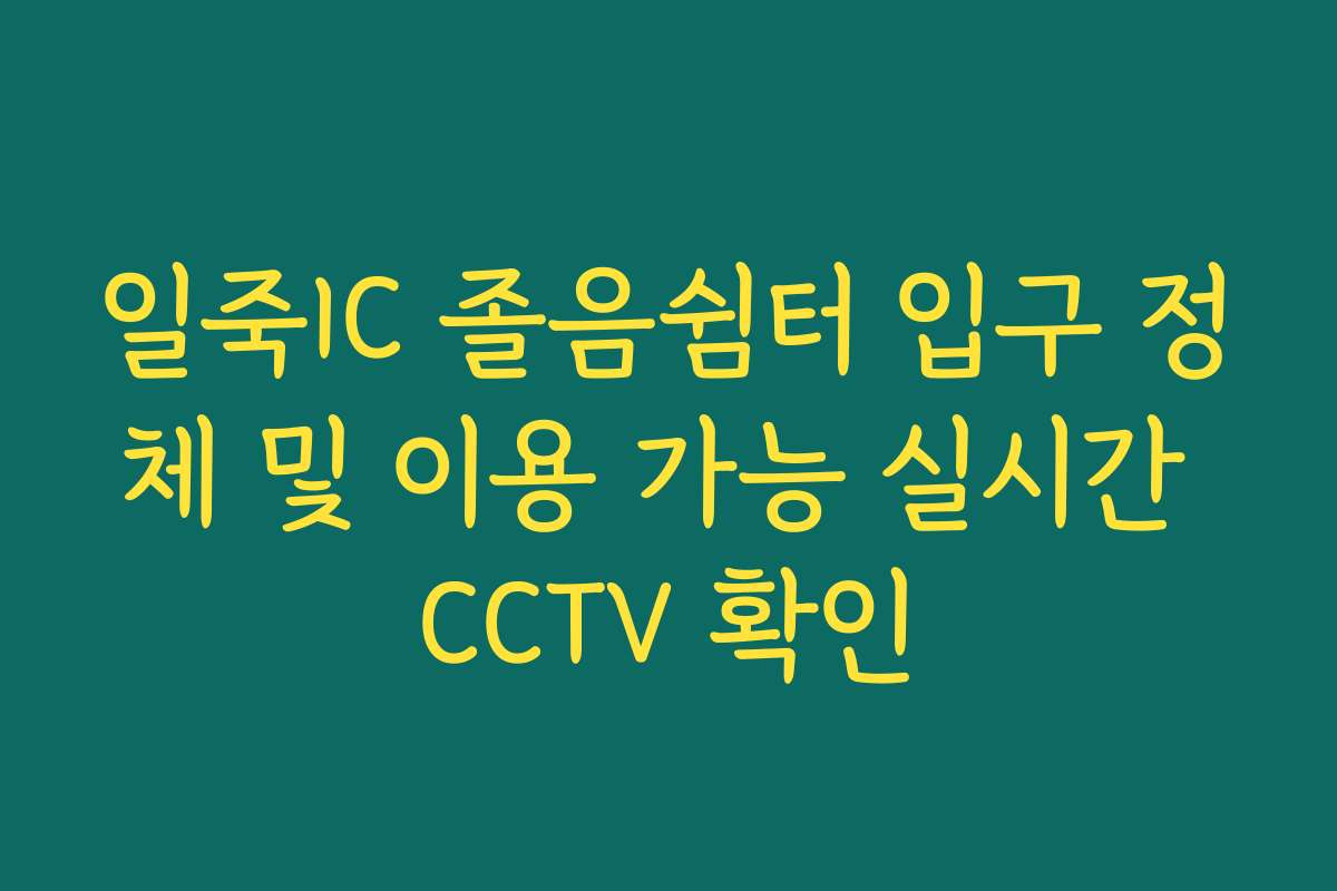 일죽IC 졸음쉼터 입구 정체 및 이용 가능 실시간 CCTV 확인