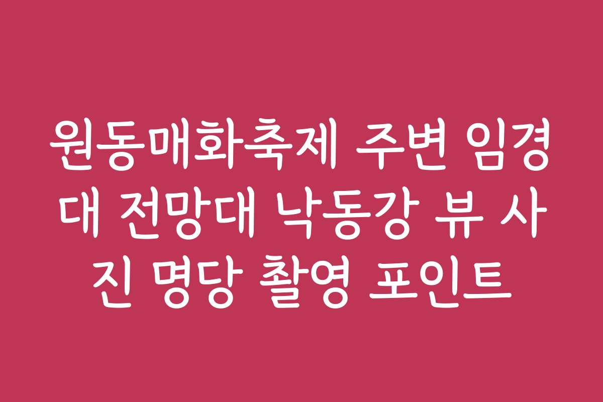 원동매화축제 주변 임경대 전망대 낙동강 뷰 사진 명당 촬영 포인트 원동매화축제 주변 임경대 전망대 낙동강 뷰 사진 명당 촬영 포인트