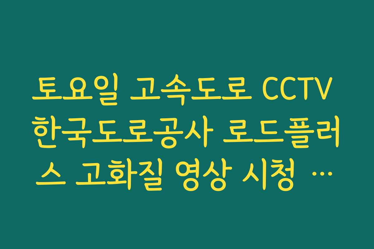 토요일 고속도로 CCTV 한국도로공사 로드플러스 고화질 영상 시청 방법 안내