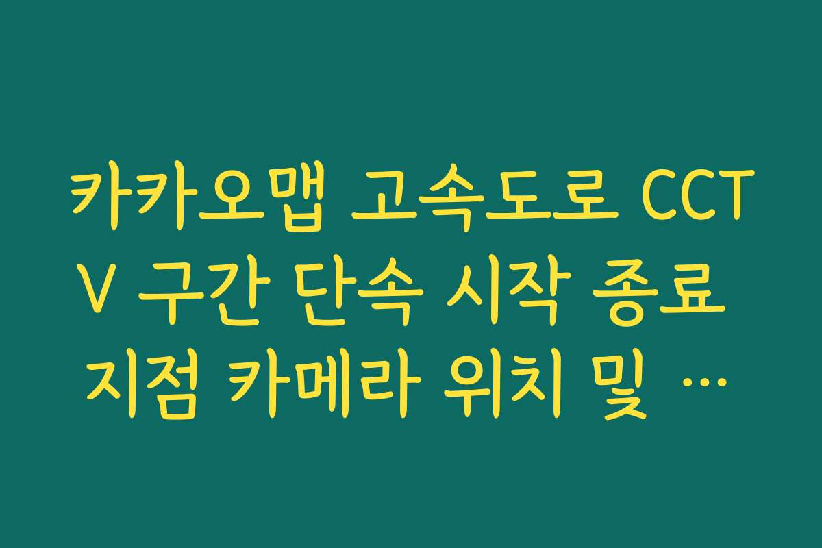 카카오맵 고속도로 CCTV 구간 단속 시작 종료 지점 카메라 위치 및 영상 대조 카카오맵 고속도로 CCTV 구간 단속 시작 종료 지점 카메라 위치 및 영상 대조
