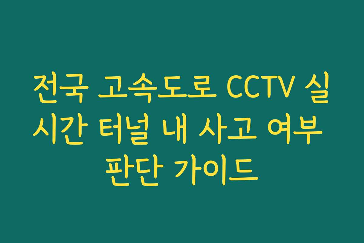 전국 고속도로 CCTV 실시간 터널 내 사고 여부 판단 가이드 전국 고속도로 CCTV 실시간 터널 내 사고 여부 판단 가이드
