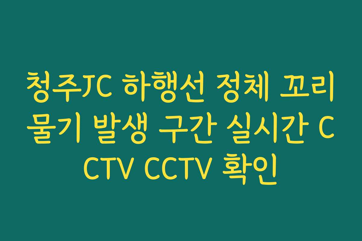 청주JC 하행선 정체 꼬리물기 발생 구간 실시간 CCTV CCTV 확인