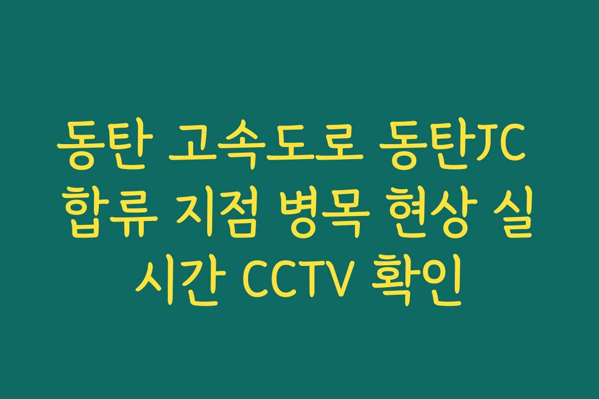 동탄 고속도로 동탄JC 합류 지점 병목 현상 실시간 CCTV 확인 동탄 고속도로 동탄JC 합류 지점 병목 현상 실시간 CCTV 확인