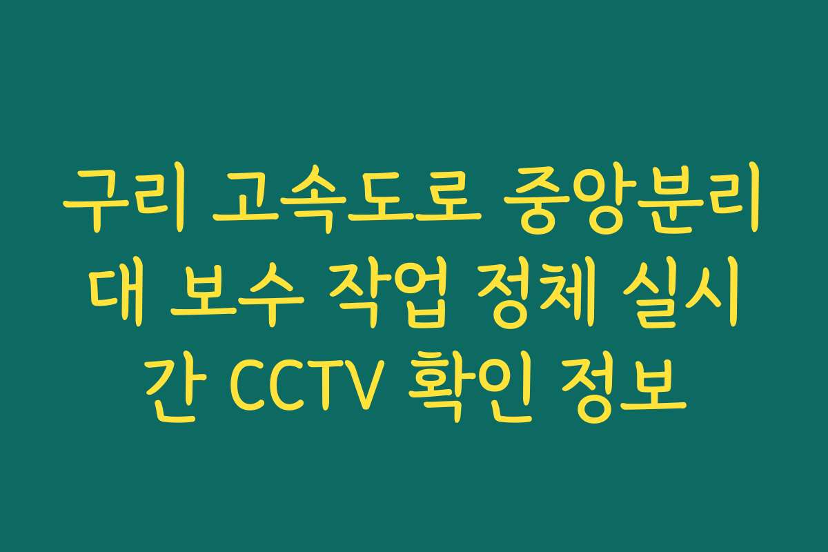 구리 고속도로 중앙분리대 보수 작업 정체 실시간 CCTV 확인 정보