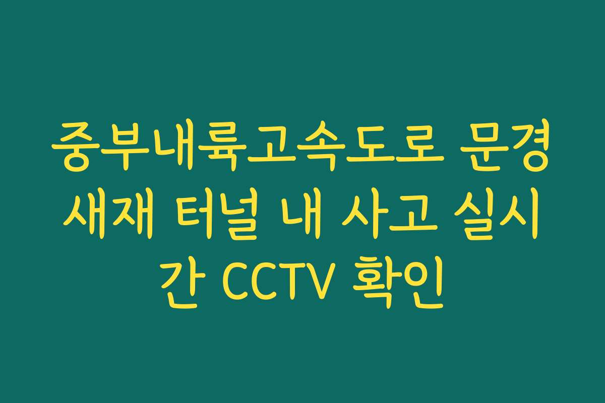 중부내륙고속도로 문경새재 터널 내 사고 실시간 CCTV 확인 중부내륙고속도로 문경새재 터널 내 사고 실시간 CCTV 확인