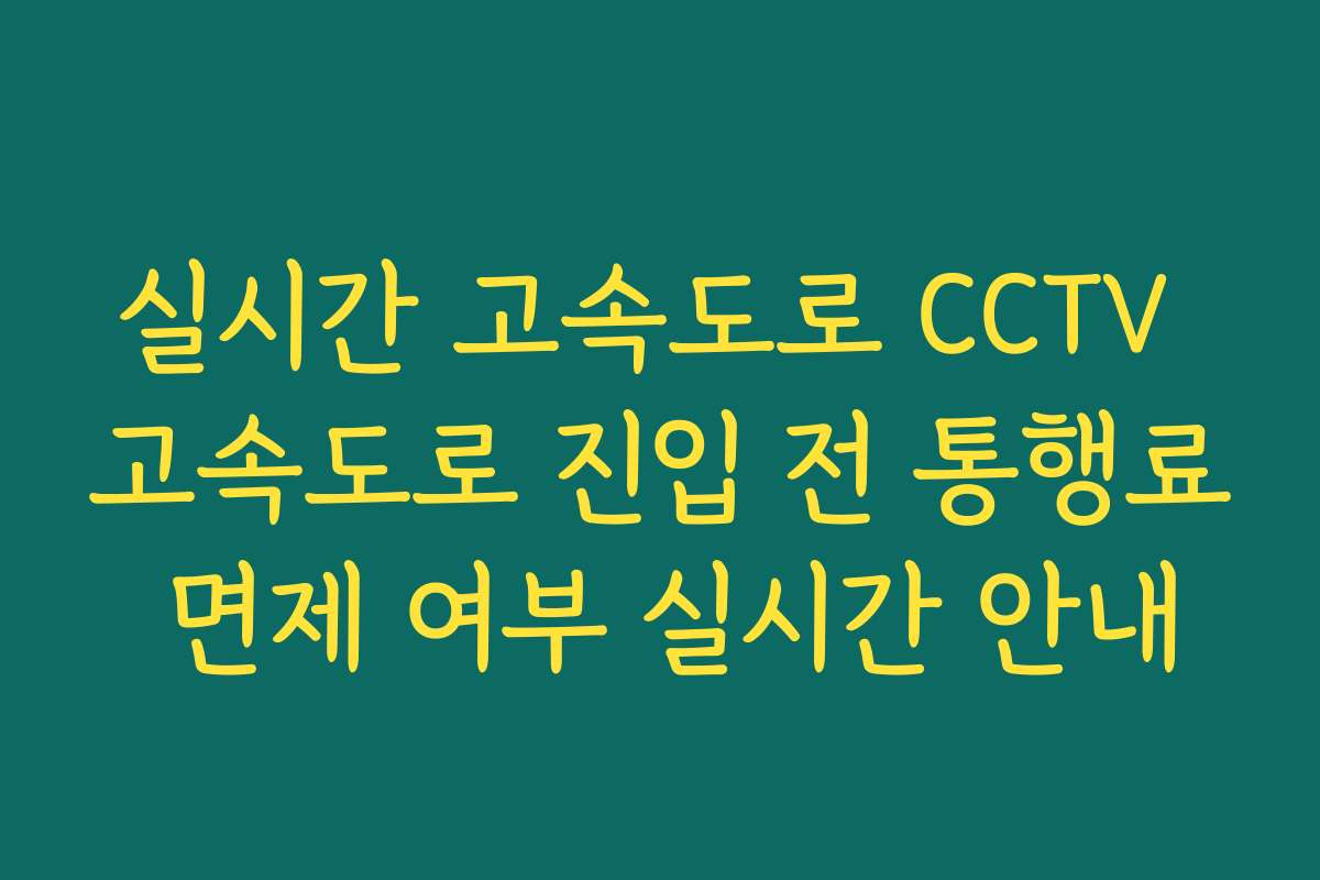 실시간 고속도로 CCTV 고속도로 진입 전 통행료 면제 여부 실시간 안내 실시간 고속도로 CCTV 고속도로 진입 전 통행료 면제 여부 실시간 안내