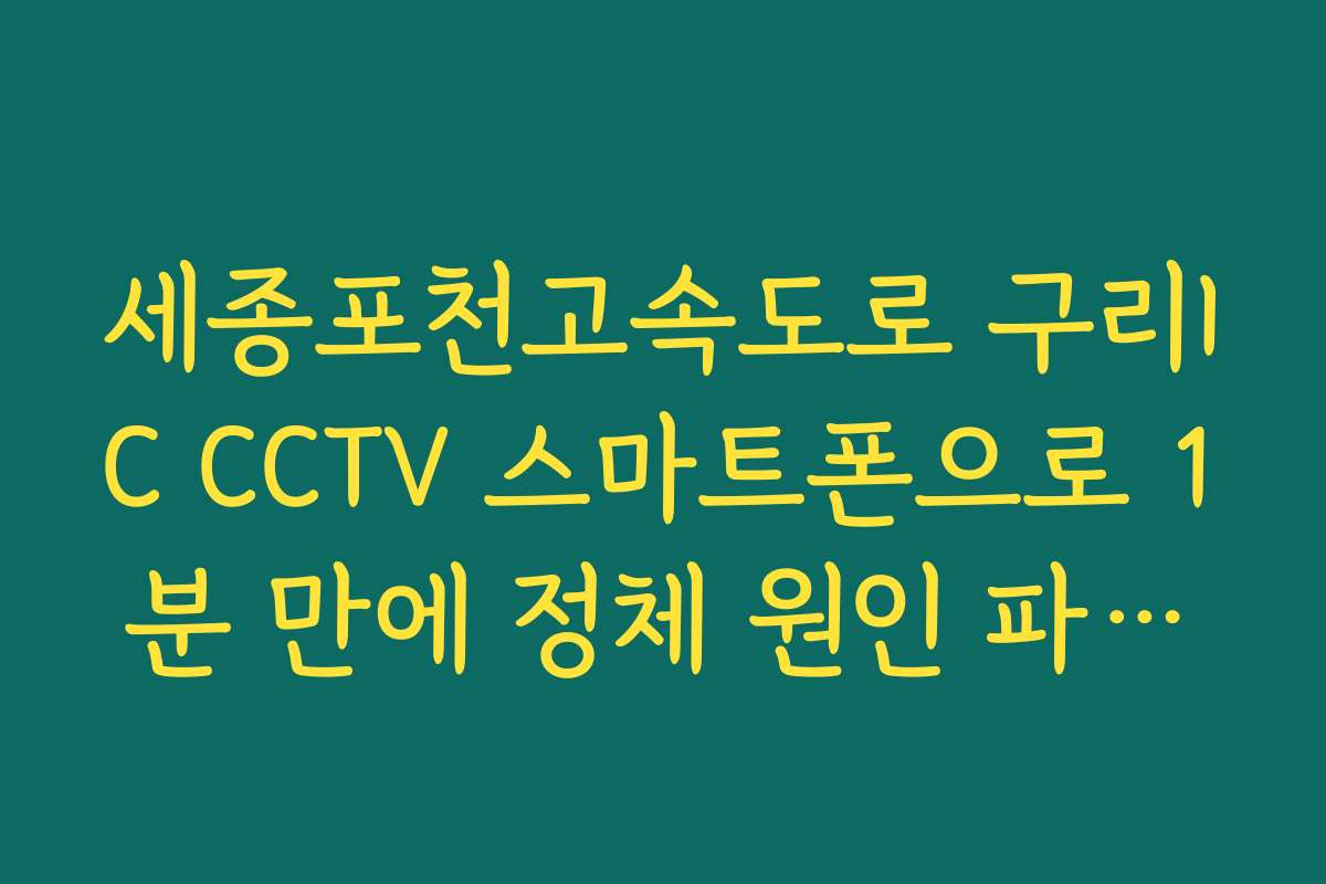 세종포천고속도로 구리IC CCTV 스마트폰으로 1분 만에 정체 원인 파악하기