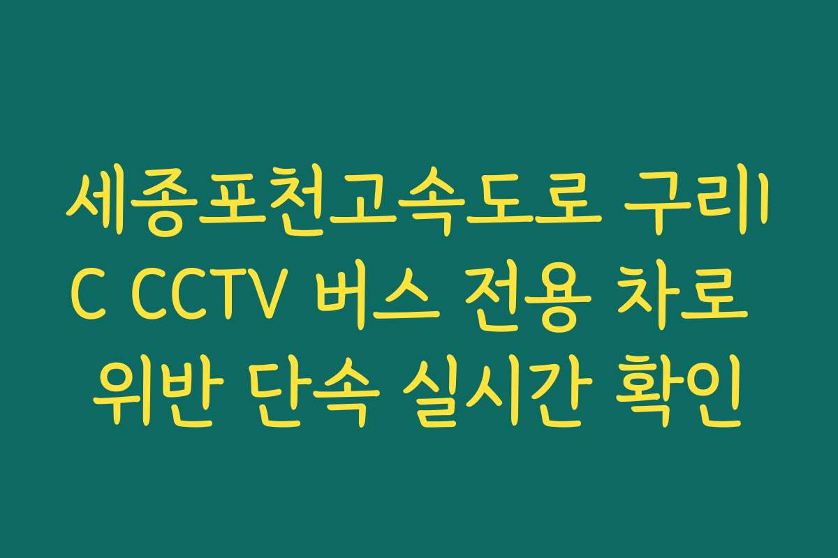 세종포천고속도로 구리IC CCTV 버스 전용 차로 위반 단속 실시간 확인 세종포천고속도로 구리IC CCTV 버스 전용 차로 위반 단속 실시간 확인