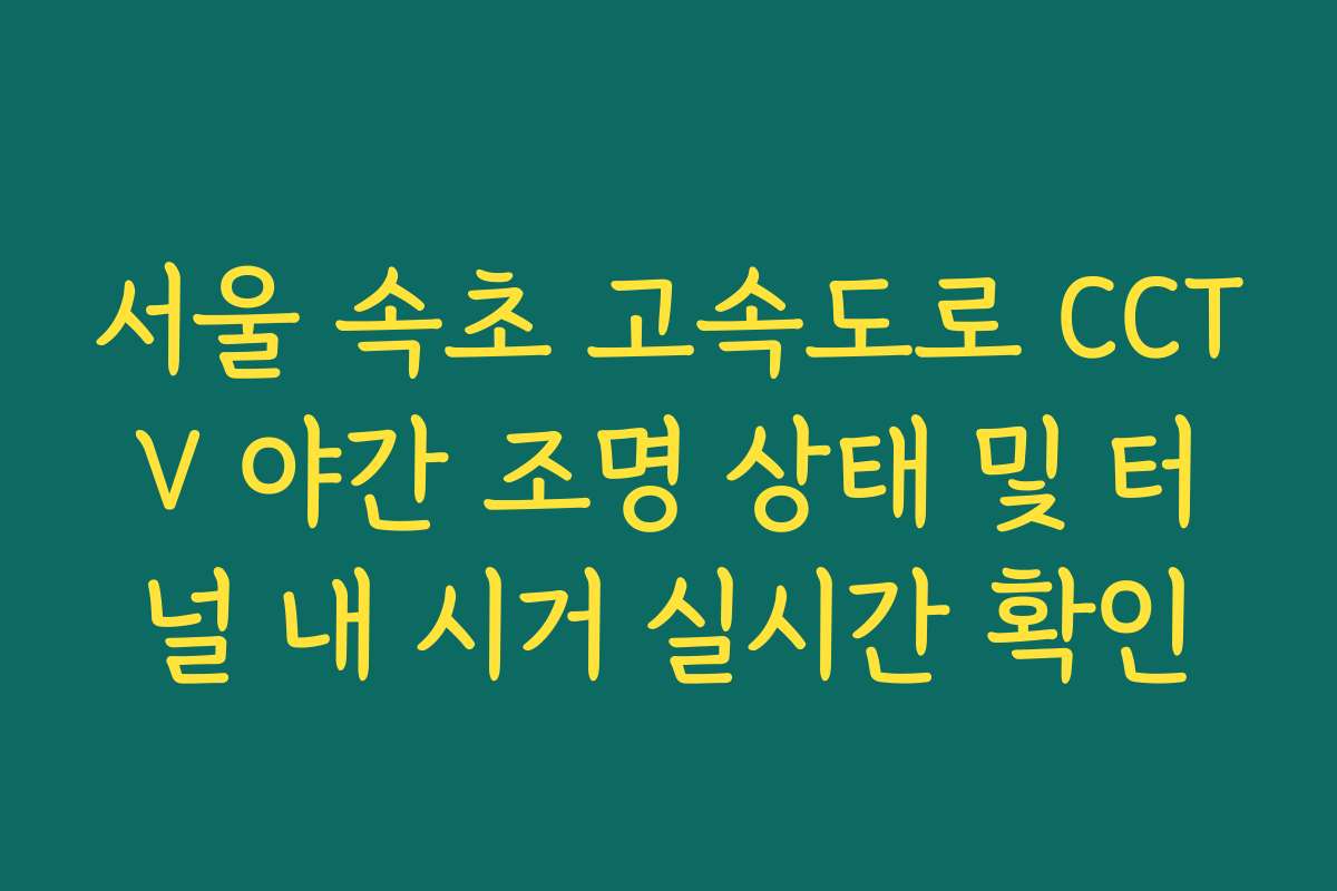 서울 속초 고속도로 CCTV 야간 조명 상태 및 터널 내 시거 실시간 확인 서울 속초 고속도로 CCTV 야간 조명 상태 및 터널 내 시거 실시간 확인