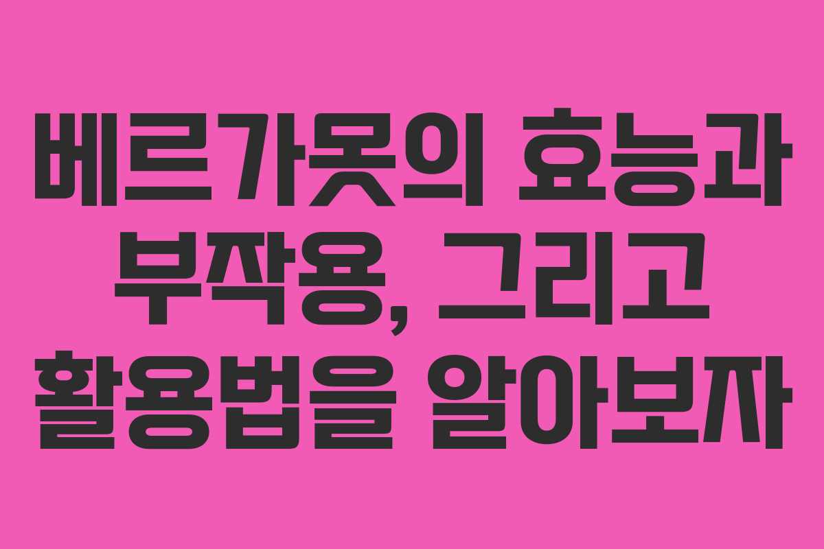 베르가못의 효능과 부작용, 그리고 활용법을 알아보자