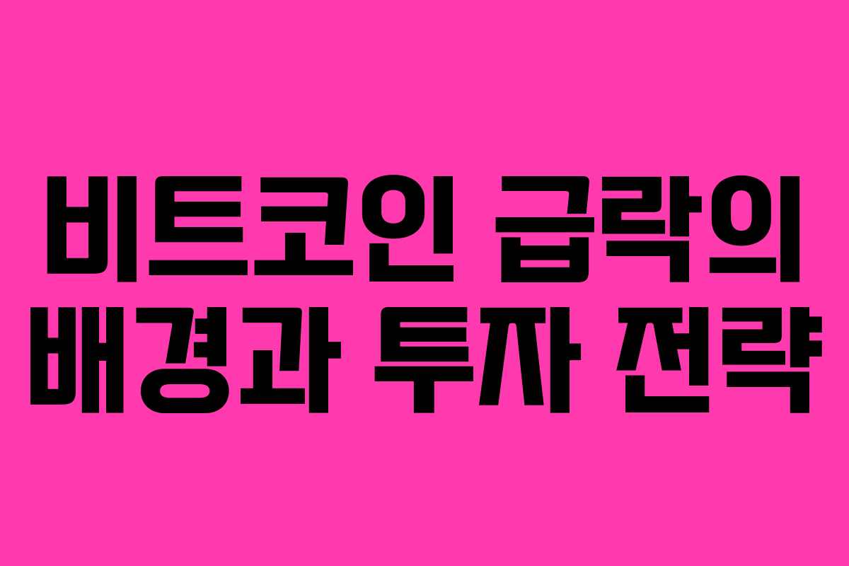 비트코인 급락의 배경과 투자 전략