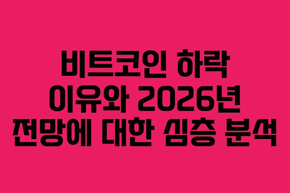 비트코인 하락 이유와 2026년 전망에 대한 심층 분석