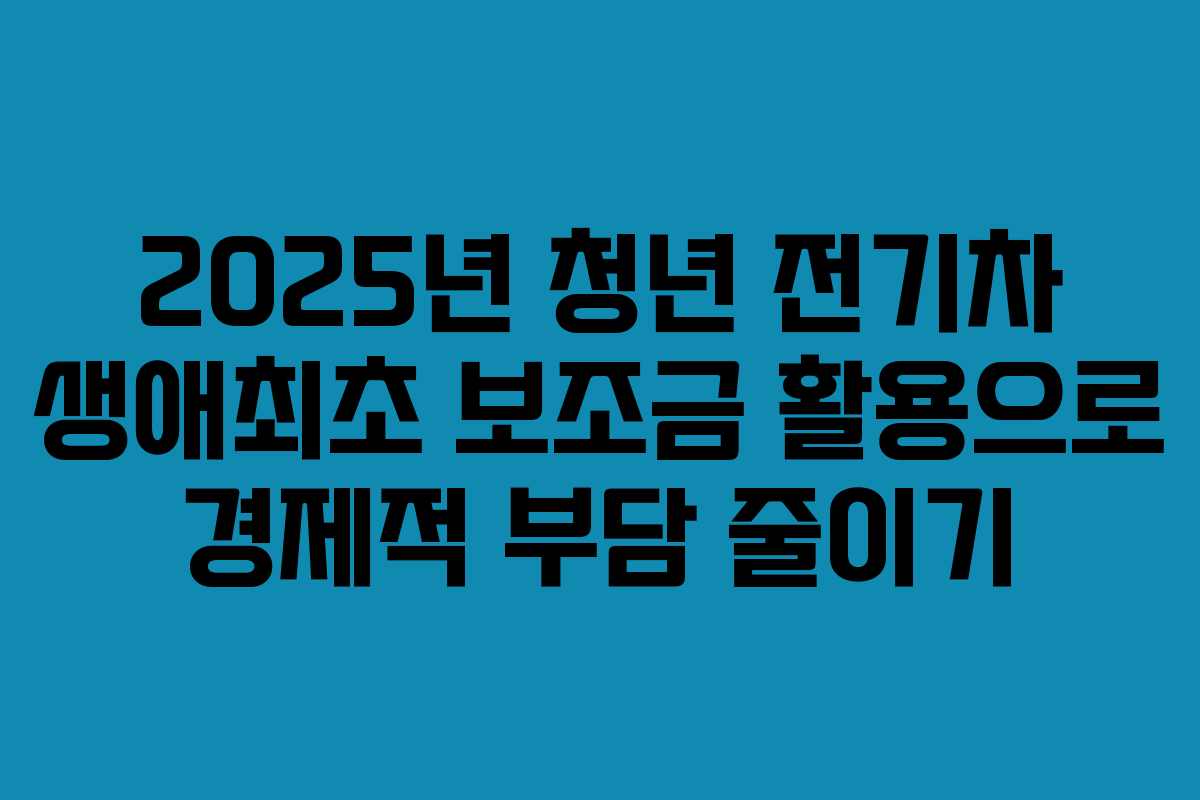 2025년 청년 전기차 생애최초 보조금 활용으로 경제적 부담 줄이기