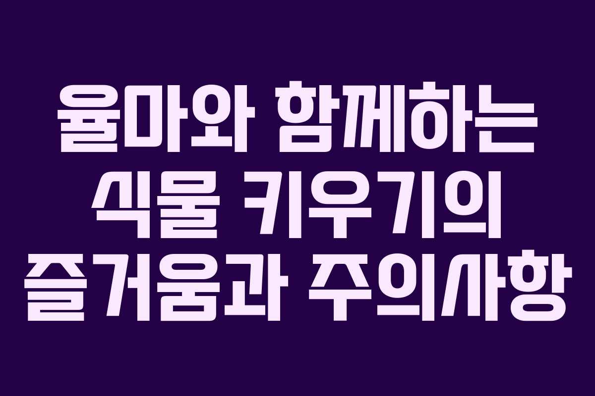 율마와 함께하는 식물 키우기의 즐거움과 주의사항